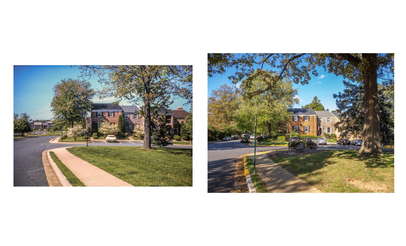 Stonehurst HOA Stonehurst turns 50!!!